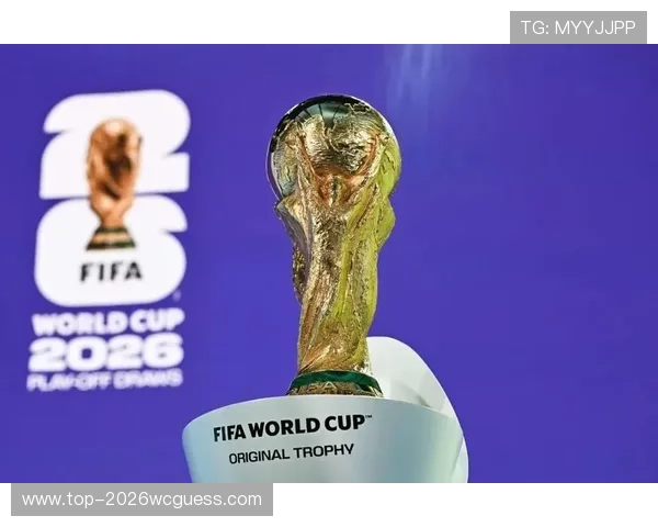 2026年世界杯已出线名单最新公布，13支球队详细出线情况全解析